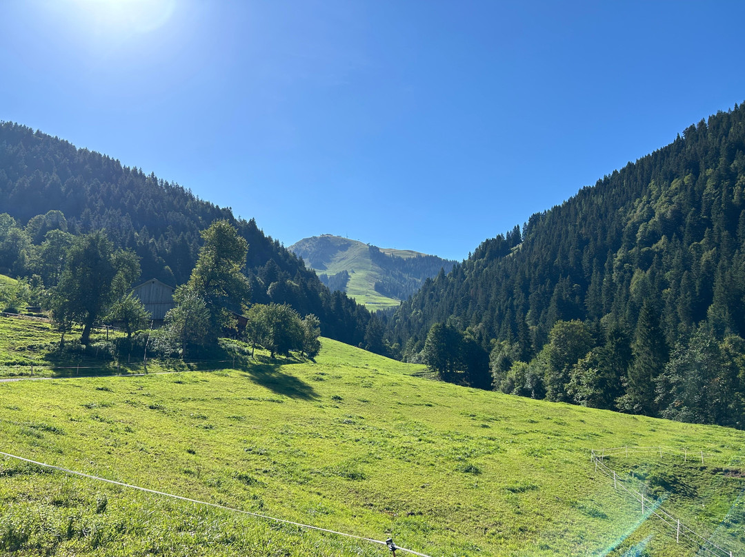 Hotel Tyrol am Wilden Kaiser主图