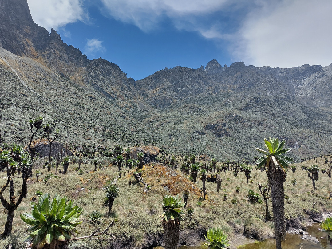 Trek Rwenzori Tours-Fort Portal必去景点