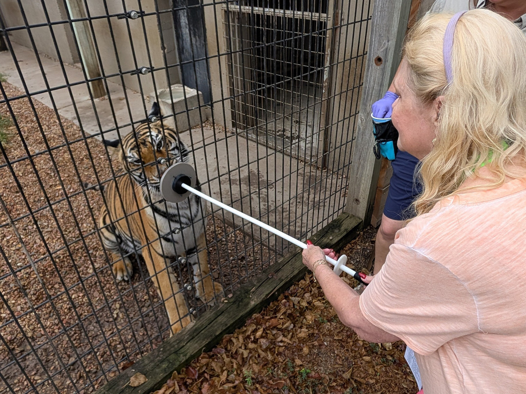 Tanganyika Wildlife Park-Goddard必去景点