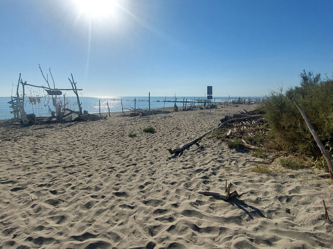 Spiaggia FKK-Lido di Dante必去景点