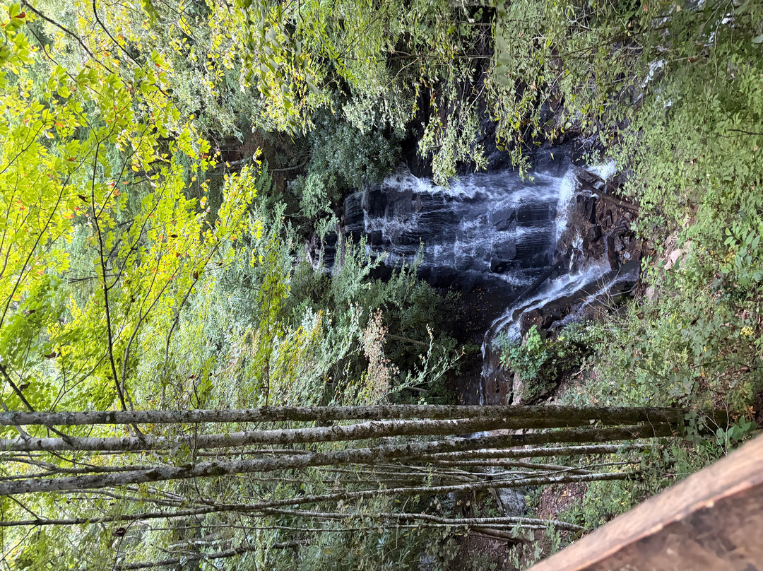 Soco Falls-Maggie Valley必去景点