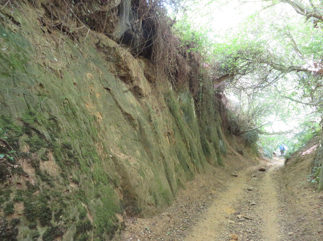 Symondsbury Estate-Symondsbury必去景点