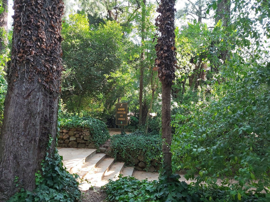 Salus' Park-Minas必去景点