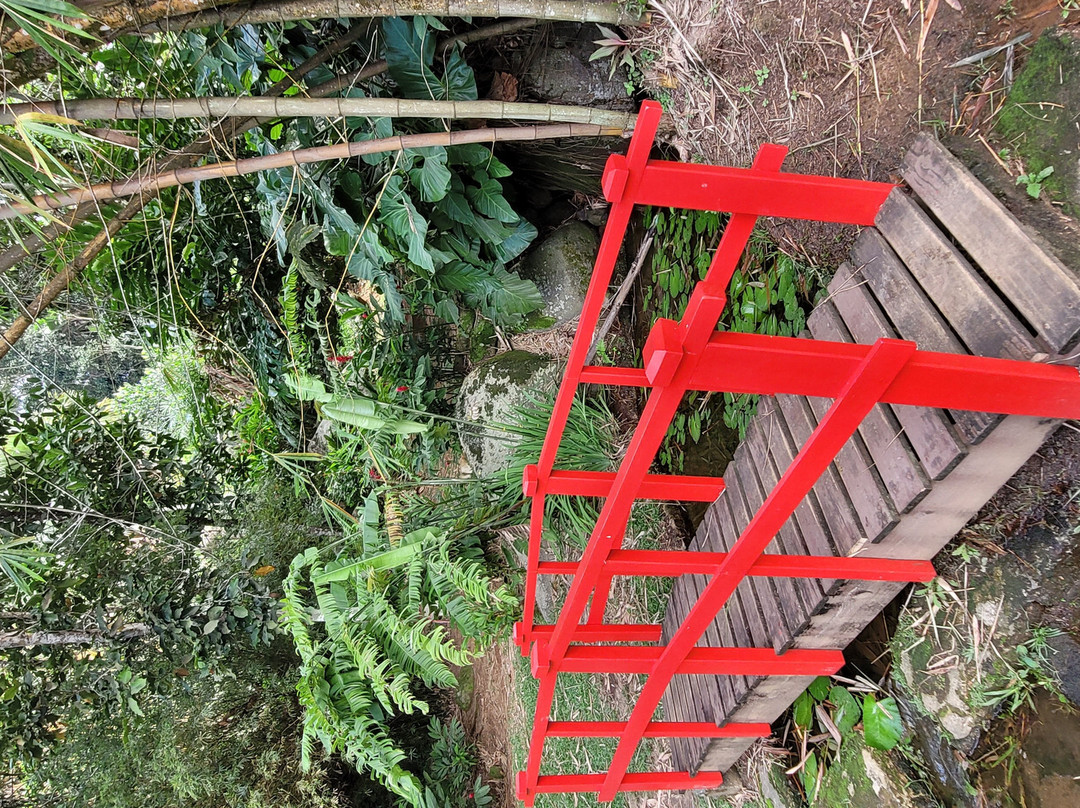 Le Jardin Du Roi Spice Garden-马埃岛必去景点
