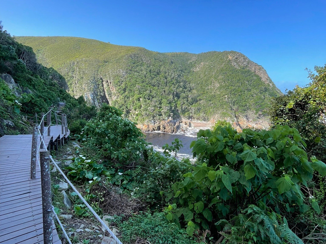 风暴河悬索桥-Tsitsikamma National Park必去景点