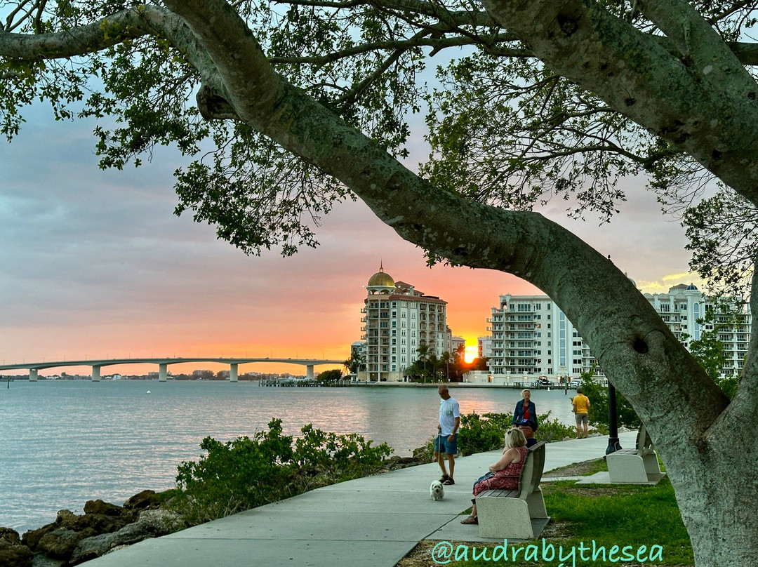 Bayfront Park-萨拉索塔必去景点