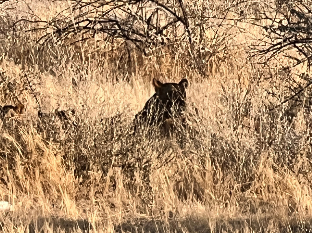 Etosha National Park-Okaukuejo必去景点
