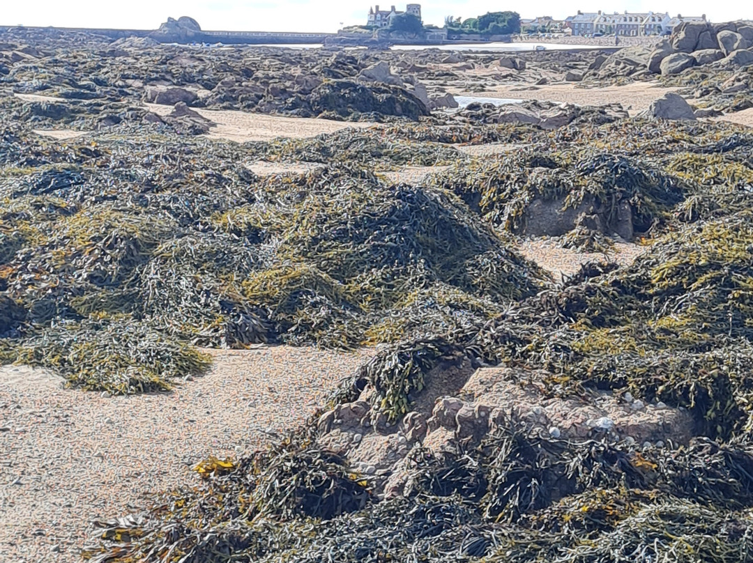 Jersey Walk Adventures-St. Helier必去景点