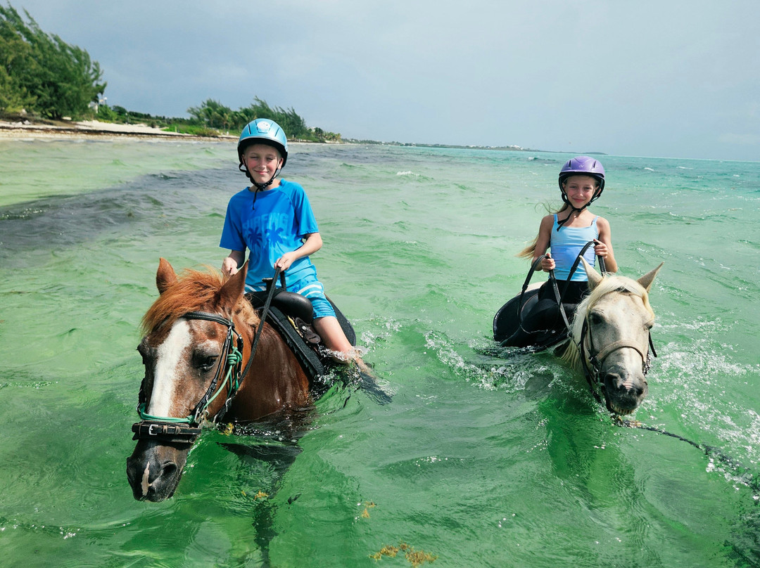 Provo Ponies-Long Bay Hills必去景点