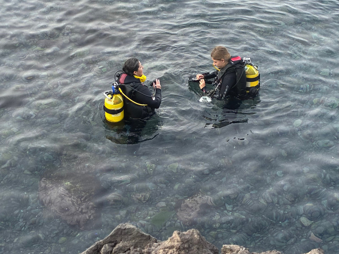 Active Scuba Divers-科斯塔特吉塞必去景点
