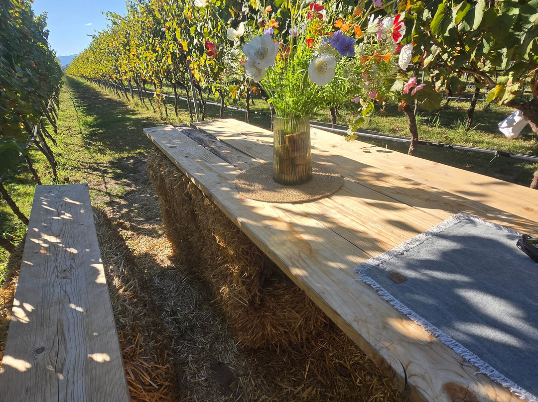 Monte Grande Winery-波德戈里察必去景点