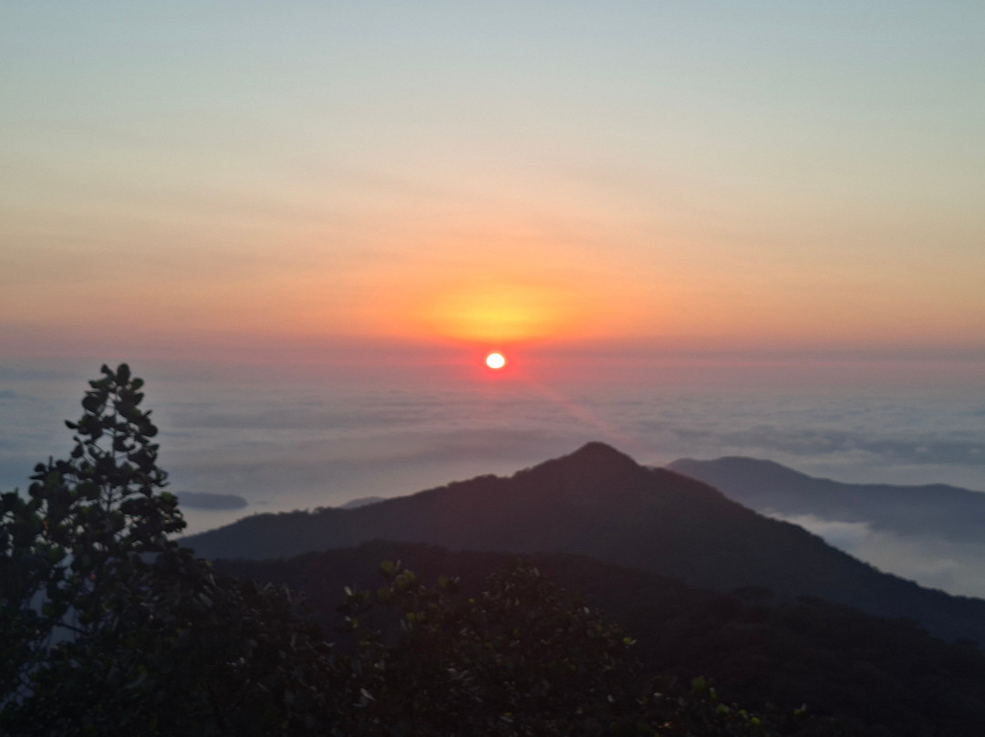 Pico do Papagaio-格兰德岛必去景点