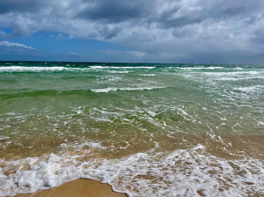 Tassells Cove-Safety Beach必去景点