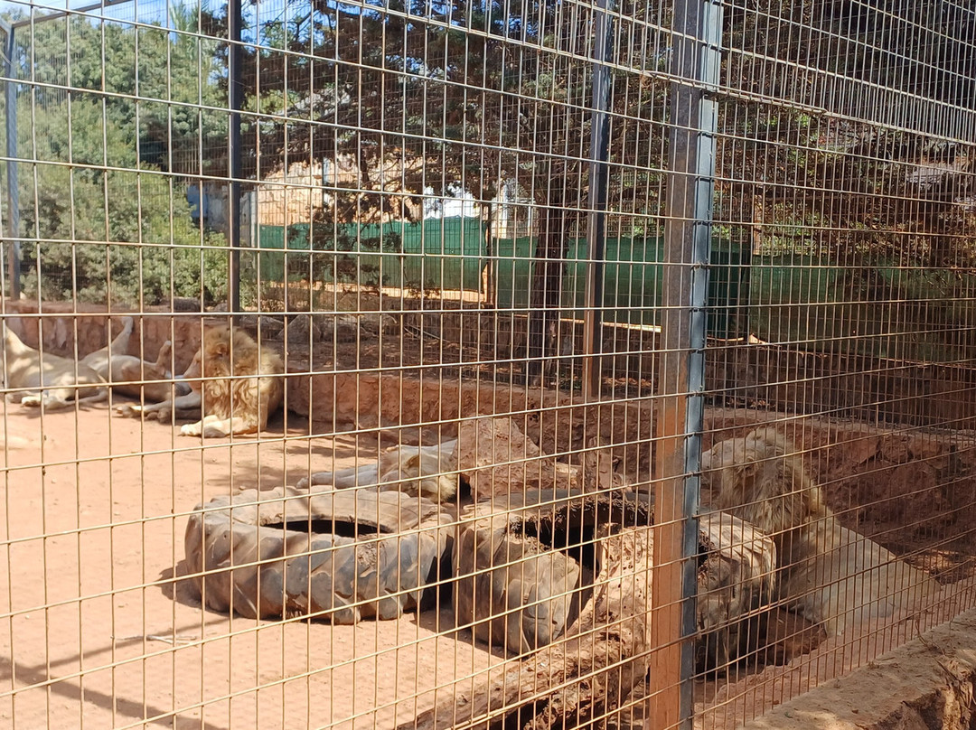 Pafos Zoo-帕福斯必去景点