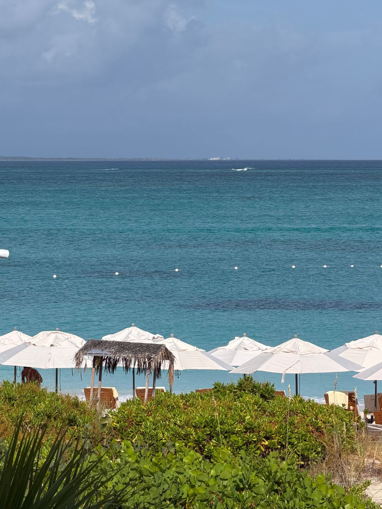 Alexandra Resort - All-inclusive-旅行者
