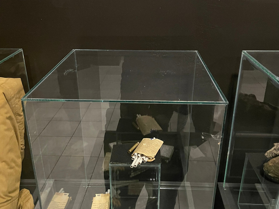 Museum of War and Genocide Victims 1992-1995-莫斯塔尔必去景点