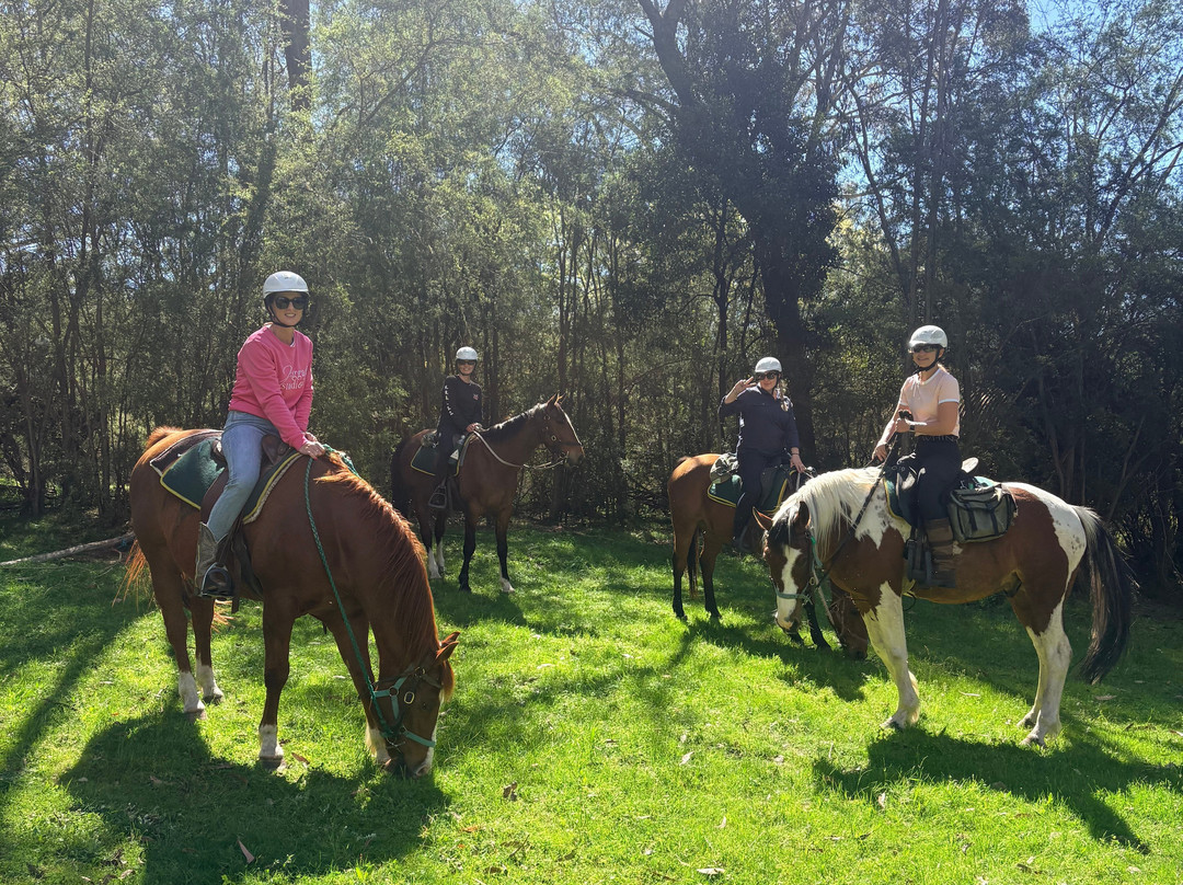Watson's Mountain Country Trail Rides - Day Tours-曼斯菲尔德必去景点