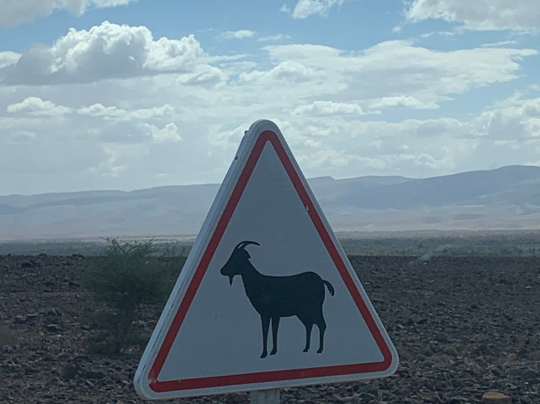 Morocco Gate Tours-非斯必去景点