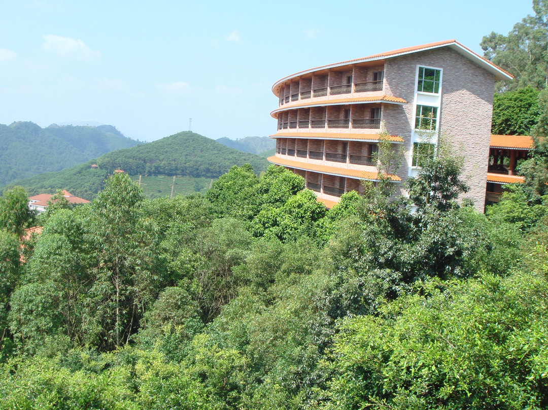 梅州雁南飞茶田度假村