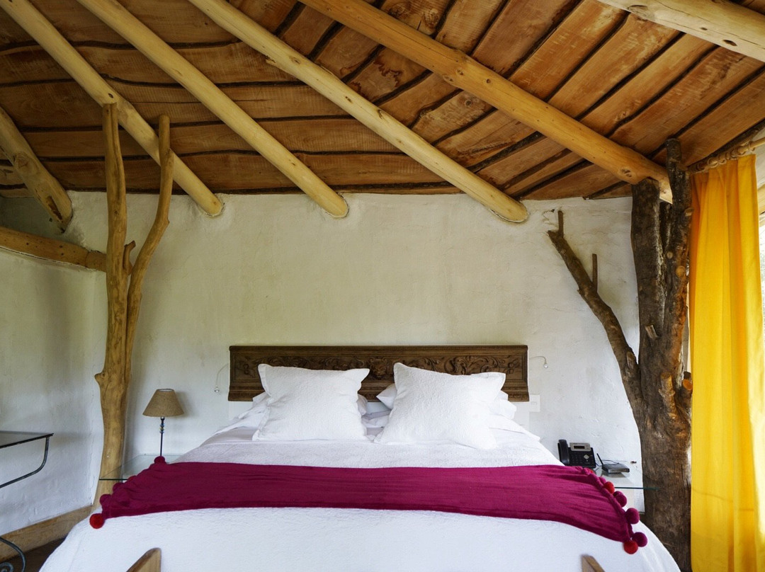 Tree Lodge Nidos de Pucon