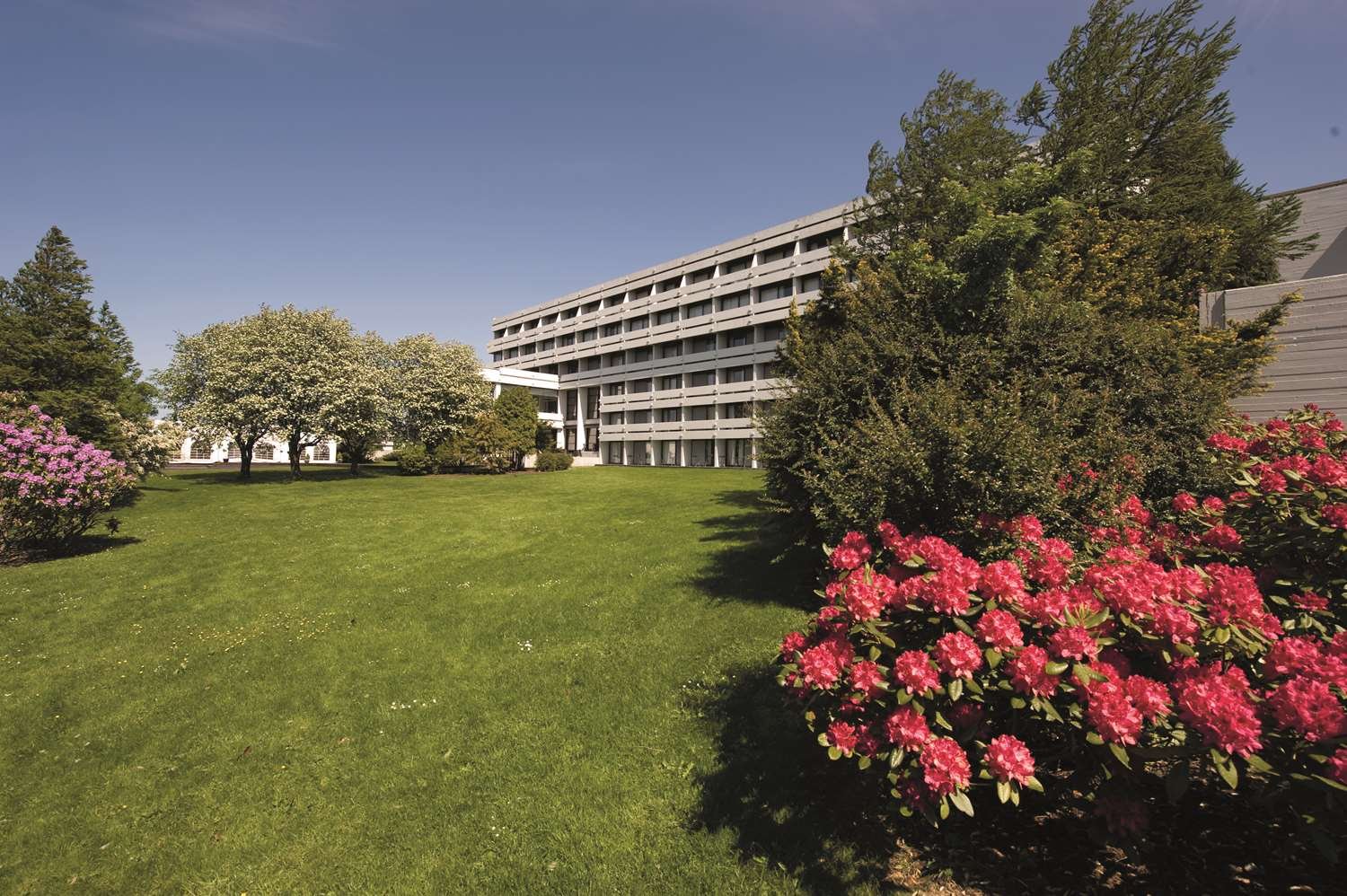Radisson Hotel Haugesund-官方