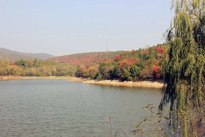 神山森林公园-全椒县必去景点