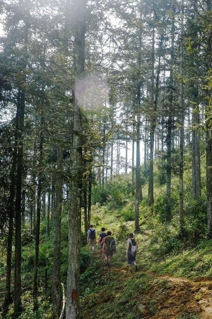 Chapa Farmstay - Mountain Retreat-官方