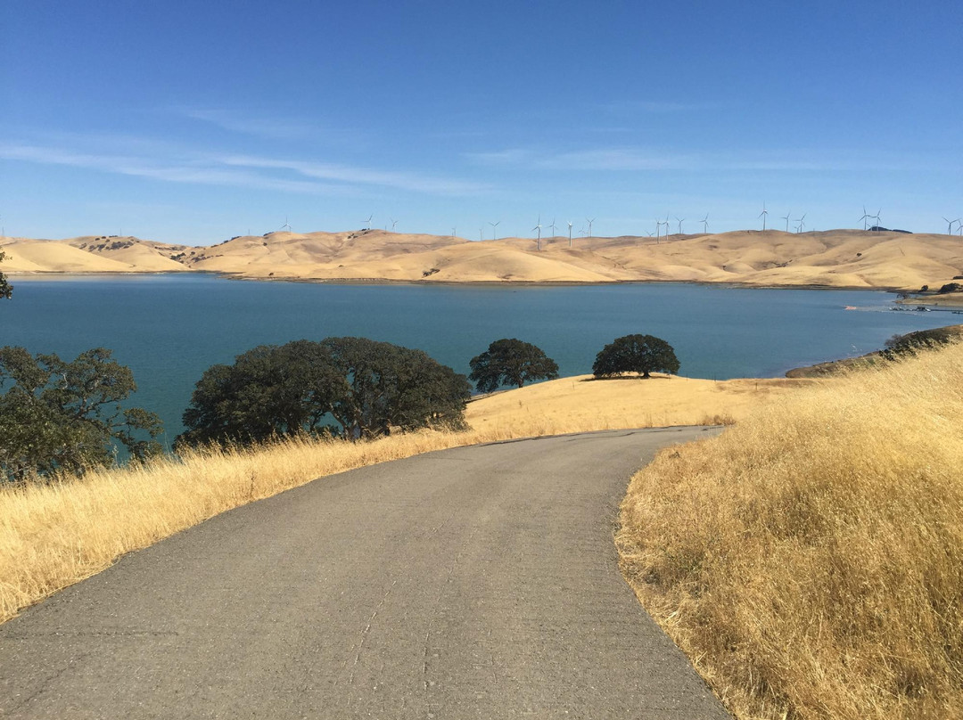 Los Vaqueros Reservoir & Watershed
