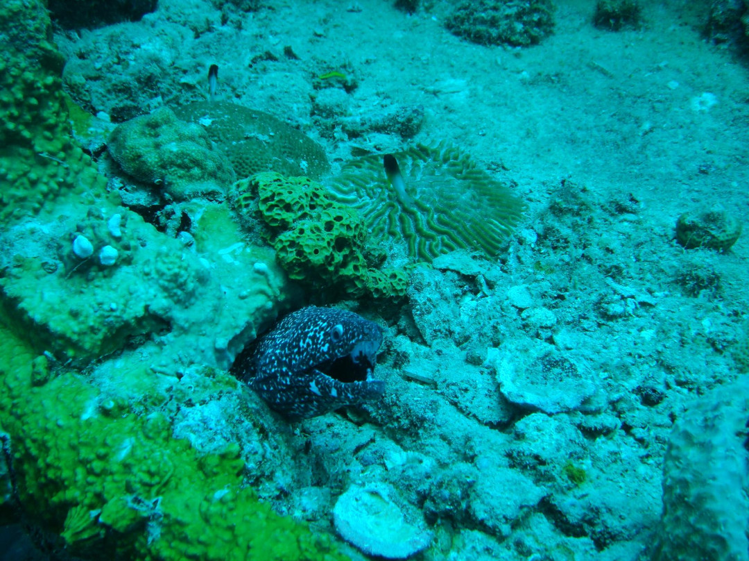 Pamir-巴巴多斯必去景点