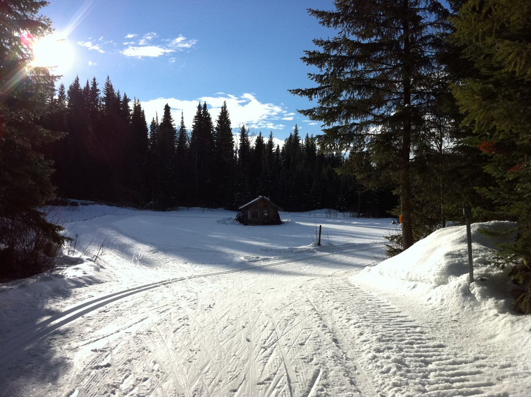 Caledonia Nordic Ski Club景点图片