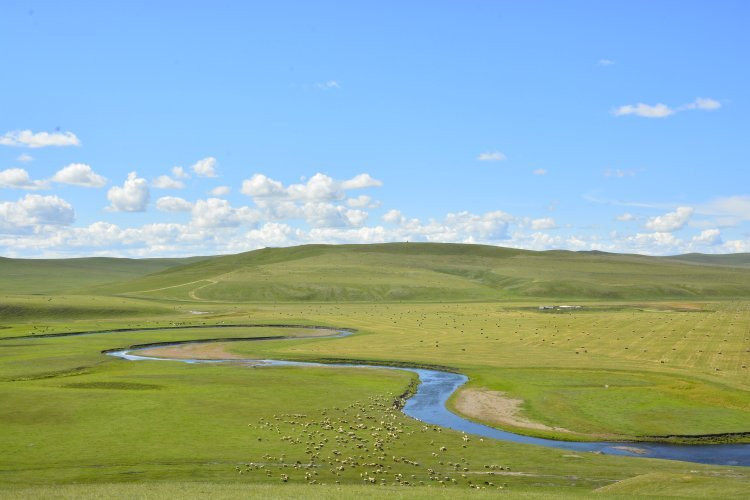 莫日格勒河-呼伦贝尔市必去景点
