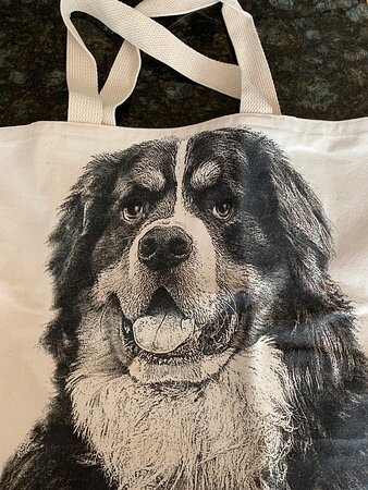 The Smiling Cow-卡姆登必去景点