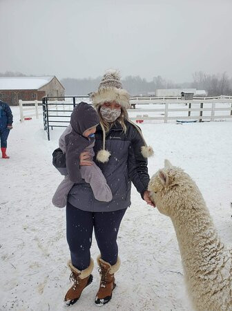 Roaring Acres Alpacas-Suffield必去景点