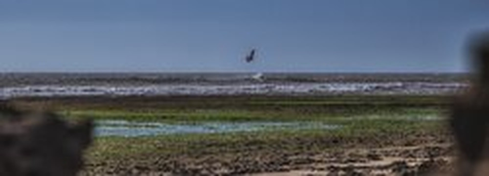 Moulay Bouzerktoun-索维拉必去景点