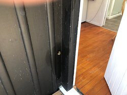 Pakiri Beach Horse Rides - Day Tours-韦尔斯福德必去景点