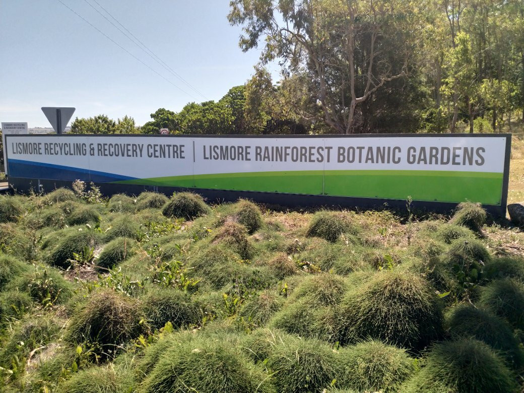 Lismore Rainforest Botanic Gardens-利斯莫尔必去景点