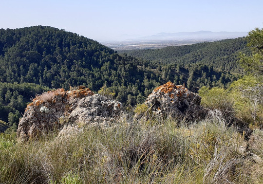 Pico Del Águila-Sangonera La Verde必去景点