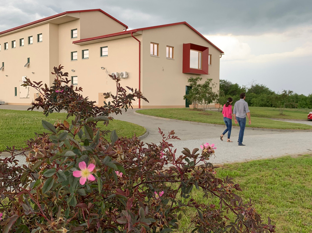 Gravitační vinařství Vilavin-Brezi必去景点