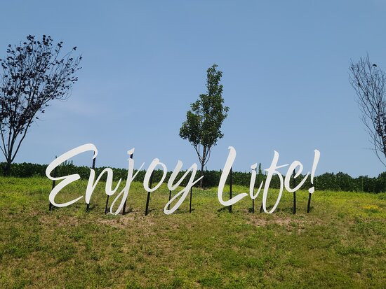 Blue Ridge Estate Winery景点图片