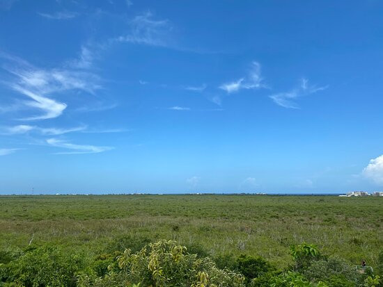 Jardín Botánico Dr. Alfredo Barrera Marin-从莫雷洛斯港必去景点