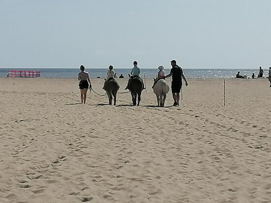 Great Yarmouth Central Beach景点图片