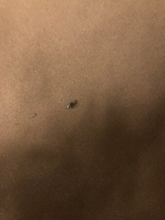 Walking Eagle Inn & Lodge-官方