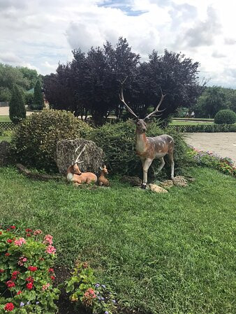 Dodo Wildlife Park景点图片