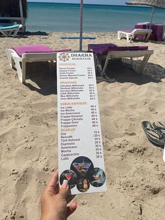Dharma Beach Club-阿勒腾库姆必去景点