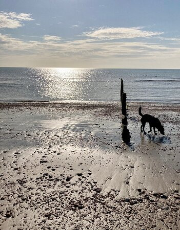 St Marys Bay Beach-St Mary's Bay必去景点