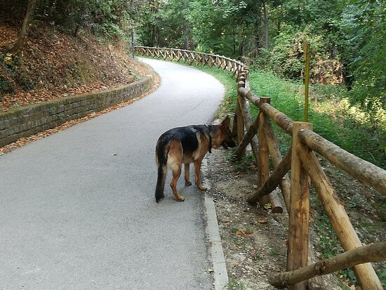Parco fluviale del Tordino e del Vezzola-泰拉莫必去景点