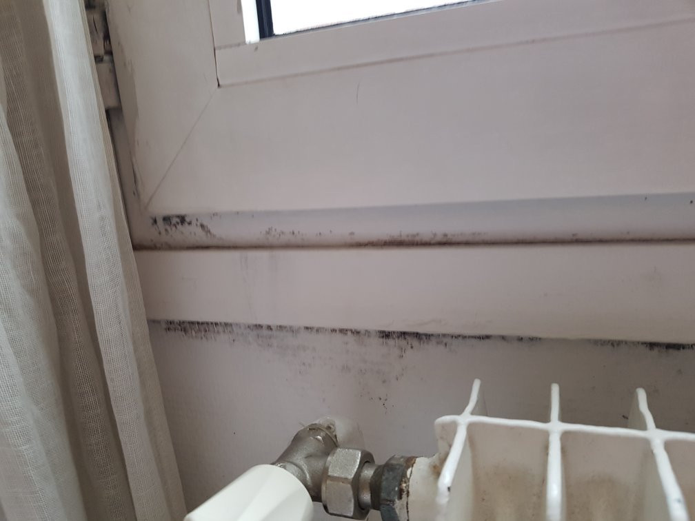 巴西欧布兰西昂酒店主图