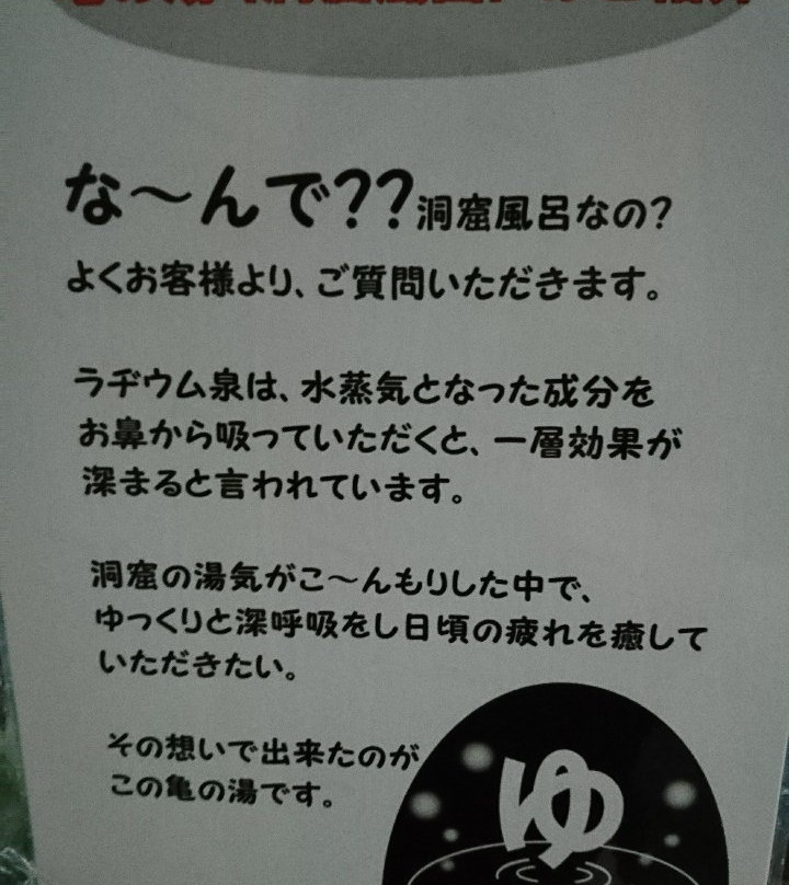 Ena Radium Onsenkan主图