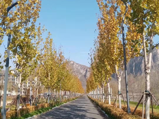 涞水荣馨客栈野三坡店主图