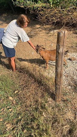 Herdade Moita Mar - Country & Sea主图